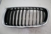 Grill Windlauf Grill Nieren Vorne Links BMW 3 51137255411<br> 