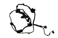 Kabelbaum Tür vorne rechts Audi A3 8P 8P3971030AE<br>AUDI A3 (8P1) 1.6 TDI